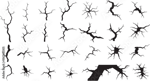 A collection of black tree branch silhouettes on white