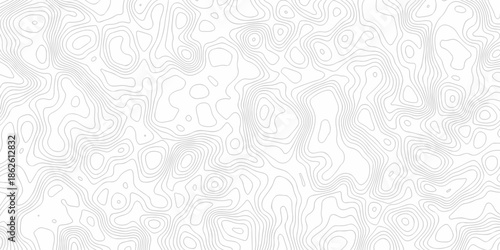 Minimal area white line geometric grid topo map outline. paper curve counter map and wavy topography. relief discovery area white, black line texture background.