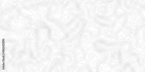Minimal area white line geometric grid topo map outline. paper curve counter map and wavy topography. relief discovery area white, black line texture background.