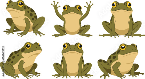 Realistic frog cartoon vector illustration set with different poses and detailed amphibian character design