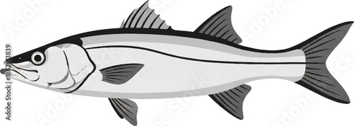 A grayscale illustration of a fish, viewed from the side, showcasing its fins and distinctive body stripe