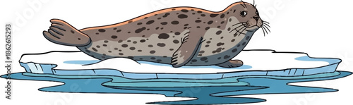 An adorable cartoon spotted seal with whiskers rests on a piece of ice in blue water
