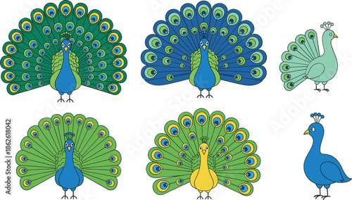 Colorful Peacock Character Set With Open And Closed Feathers Cute Cartoon Bird Illustration