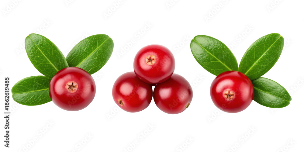 Obraz premium Cranberry berries with green leaves isolated on white background