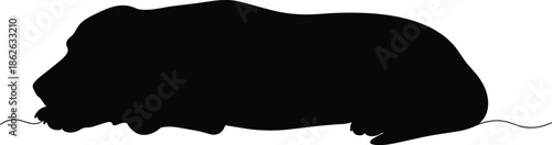 Sleeping Dog Silhouette Illustration in Side View Black Minimal Flat Vector for Pet and Animal Design