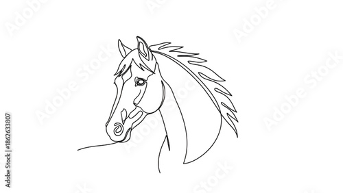 Horse Head Line Drawing on White Background