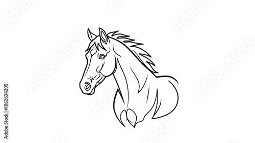Black and White Horse Illustration Isolated on White Background
