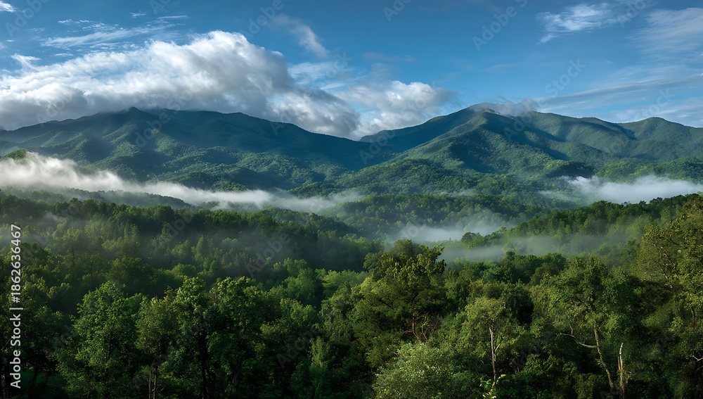 Fototapeta premium Smoky Mountains Serenity: Rolling Hills Draped in Mist, Lush Green Forest Under a Blue Sky, Natural Beauty and Tranquil Scenery of the Appalachian Landscape
