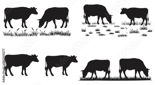 A collection of grazing cows depicted in a striking black and white silhouette
