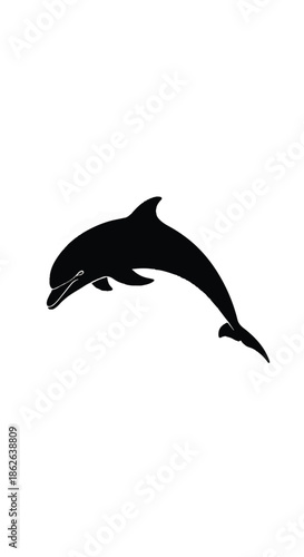 Graceful dolphin silhouette leaping above calm blue sea.