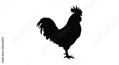A striking black rooster profile presented as a bold artistic silhouette
