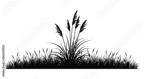 Dramatic black silhouette of tall grasses and reeds against a stark white background silhouette