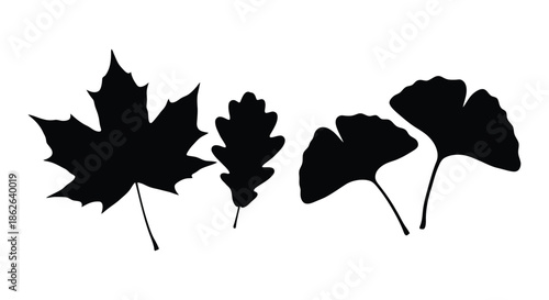 Four distinct autumnal leaves presented in a striking black and white silhouette