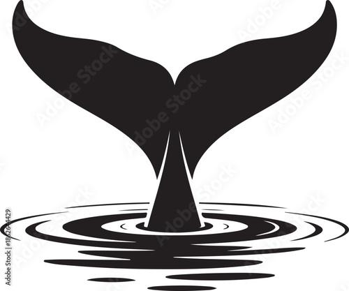 Whale Tail Silhouette – Whale Fluke Vector Black on White”
