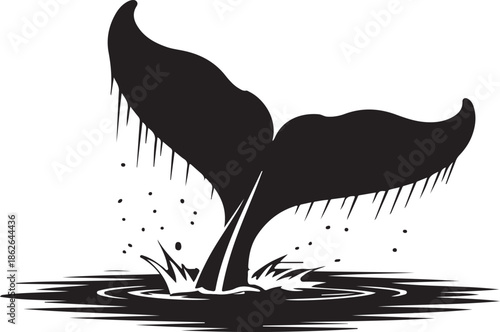 Whale Tail Silhouette – Whale Fluke Vector Black on White”