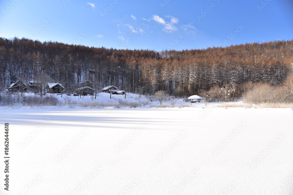 custom made wallpaper toronto digital雪景色