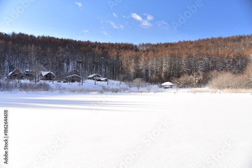 Wallpaper Mural 雪景色 Torontodigital.ca