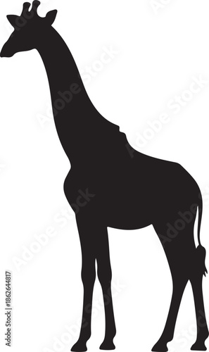 Giraffe Silhouette – Tall Giraffe Vector Black on White”