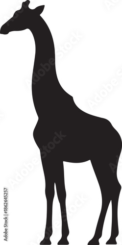 Giraffe Silhouette – Tall Giraffe Vector Black on White”