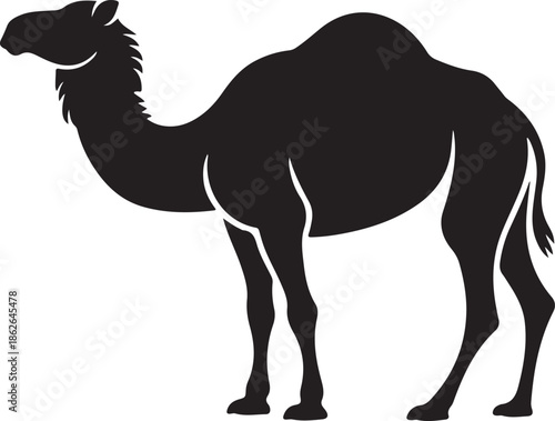 Camel Silhouette – Desert Camel Vector Black on White”