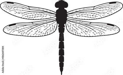 Dragonfly Silhouette – Insect Vector Black on White”