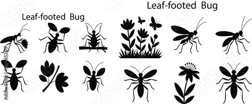 Black silhouette insects and plants on white background
