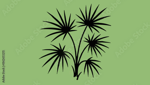 spring、plant、plants、botanical、botany、nature、leaf、leaves、green、black、lineart、outline、handdrawn、sketch、simple、minimal、illustration、drawing、art、design、organic、natural、eco、floral、foliage、garden、modern、cle