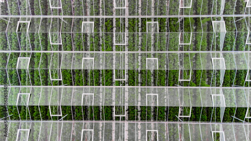 Greenhouse aerial drone view from above, large industrial greenhouses for growing vegetables, modern plantation glasshouse area background, agriculture in the Netherlands