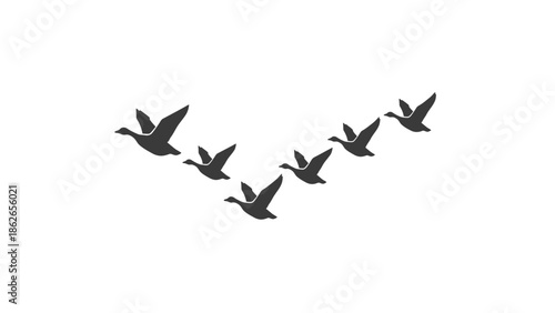 Flock of Geese Flying in V Formation Silhouette.