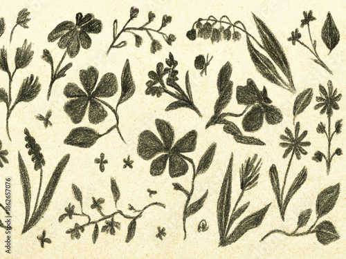 Abstract contemporary flowers with textures. Modern vector illustration. Small hand-drawn flowers set. Wild flowers and plants in charcoal or crayon drawing style. Pencil drawn branches and stems
