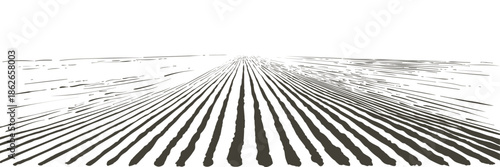 Abstract Black and White Lines Creating a Sense of Perspective and Depth.