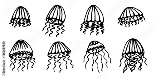 Set of hand drawn jellyfish doodle Sea animal illustration Cute marine underwater creature Medusa sketch clipart Single element for web, design, decor, children's print