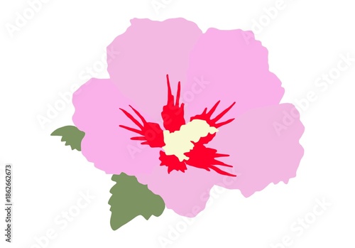 Mugunghwa, Korean National Symbol Illustration
