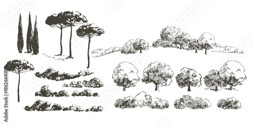 Collection of Hand Drawn Trees and Bushes Sketch Style Illustrations.