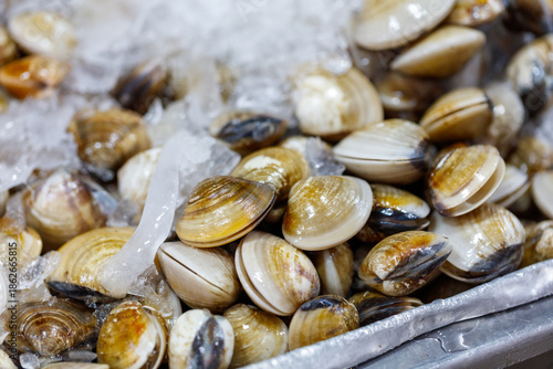 A tray of clams is sitting in a freezer © schankz