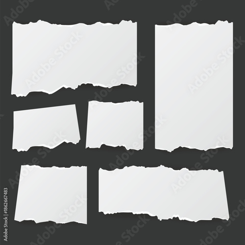 Collection of various blank white ripped paper pieces.