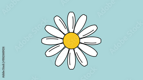 Delicate Daisy Illustration with White Petals and Yellow Center.