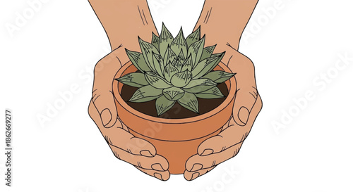 Human Hands Holding Potted Succulent Plant in Clay Pot Illustration for Gardening and Nature Conservation
