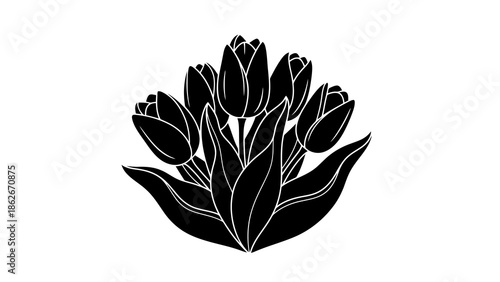 Beautiful tulip flower illustration