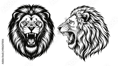 Detailed Lion Head Illustrations Front and Side View Roaring Wildly.