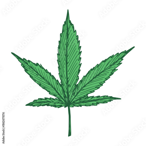 Hand drawn cannabis leaf Medicine marijuana Hemp leaves clipart in doodle style Single element for print, web, design, decor