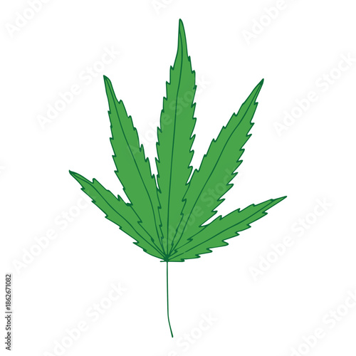Hand drawn cannabis leaf Medicine marijuana Hemp leaves clipart in doodle style Single element for print, web, design, decor