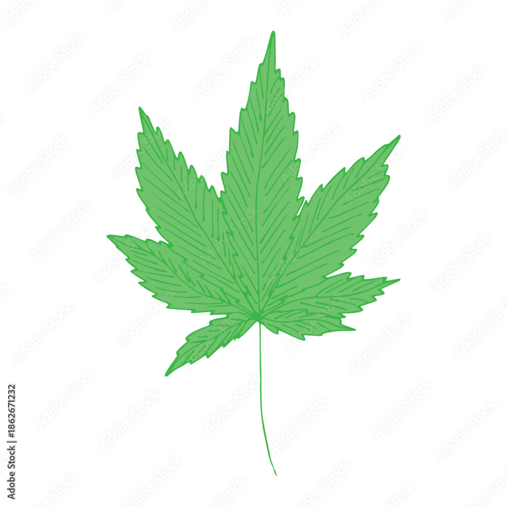Fototapeta premium Hand drawn cannabis leaf Medicine marijuana Hemp leaves clipart in doodle style Single element for print, web, design, decor