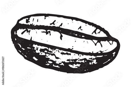 Hand drawn fresh roasted coffee bean Arabica robusta seed doodle Single element for print, web, design, decor