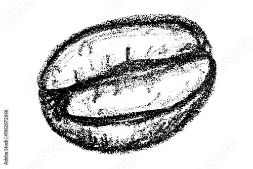 Hand drawn fresh roasted coffee bean Arabica robusta seed doodle Single element for print, web, design, decor