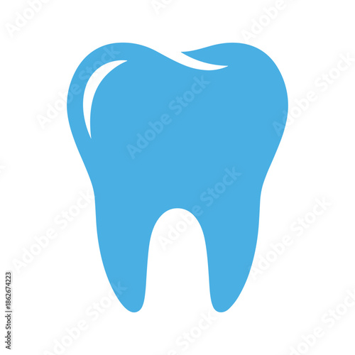 Illustration of a single tooth Vector