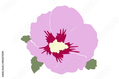 Mugunghwa, Korean National Symbol Illustration