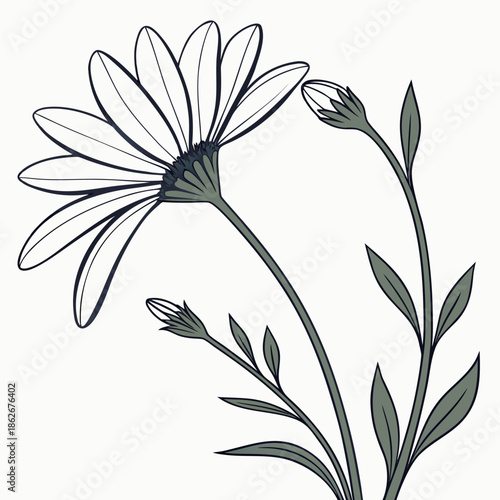 Clean Minimalist Daisy Flower Graphic on White