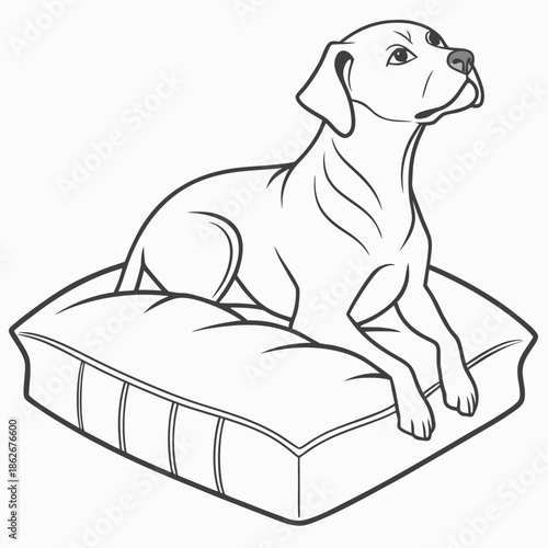 Square Fabric Sofa Cushion Home Decor