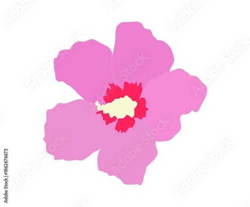 Mugunghwa, National Flower of South Korea Illustration